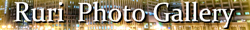 ruri's photo gallery